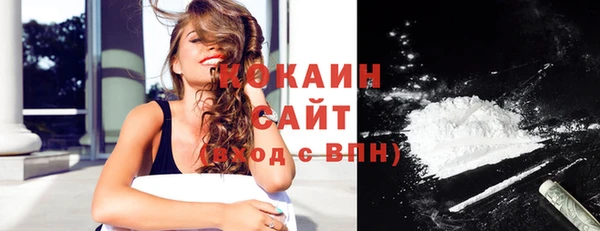 ешки Бронницы