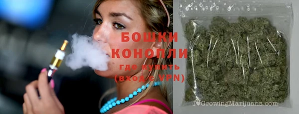 ешки Бронницы