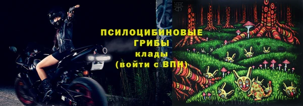 Альфа ПВП Бугульма