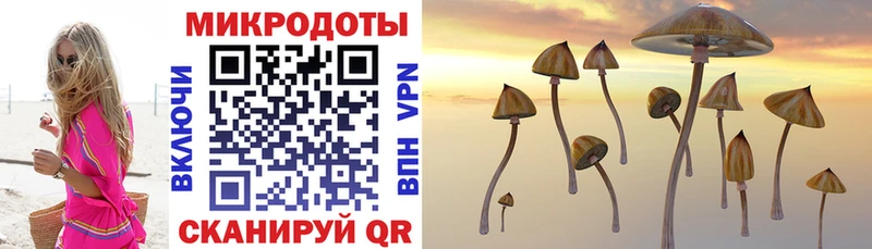 блэк спрут маркетплейс Иноземцево Галлюциногенные грибы Cubensis